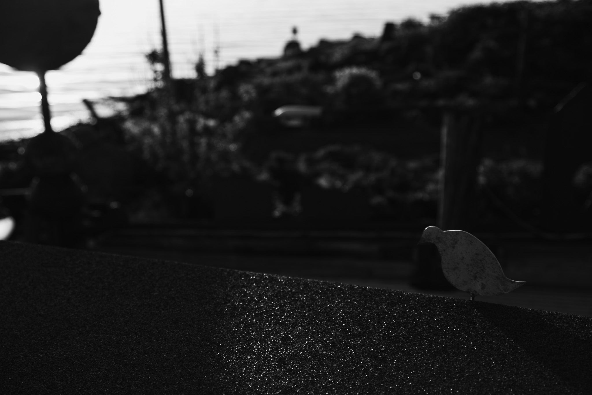 Outside The Recycled House
