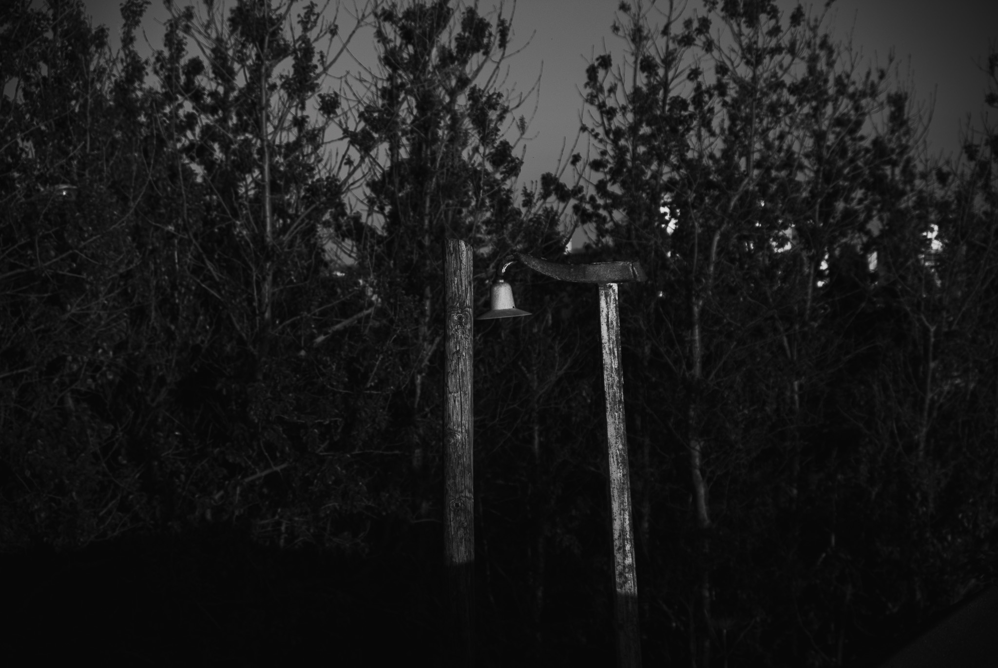 Outside The Recycled House